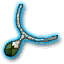 Ossuary Torque