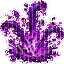 Mire Splash